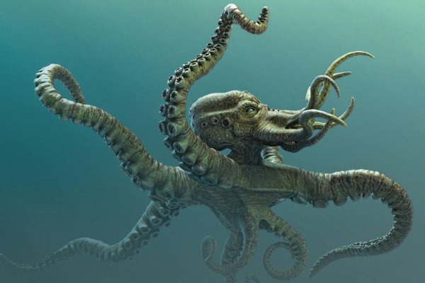 Kraken взлом