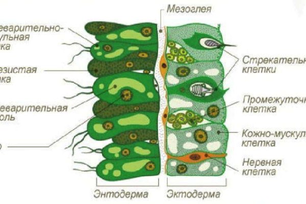 Кракен даркнет kraken clear com